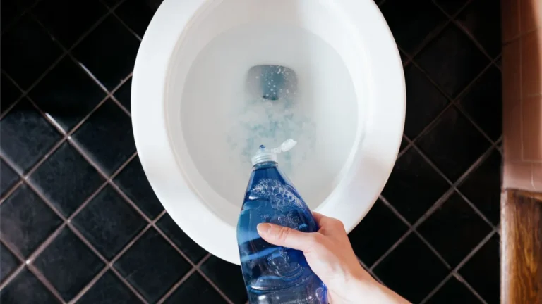 Washing Up Liquid in Toilet Trick